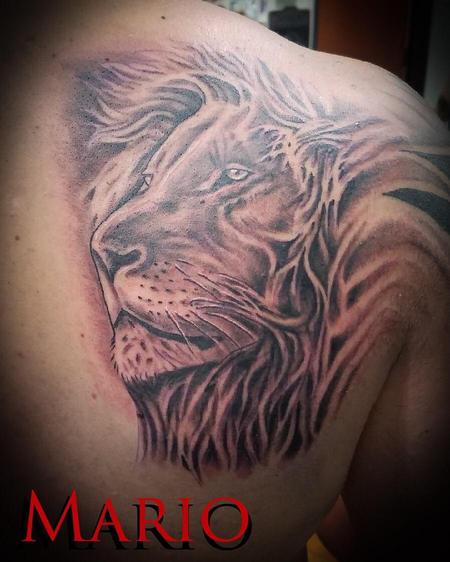 Mario Padilla - Lion